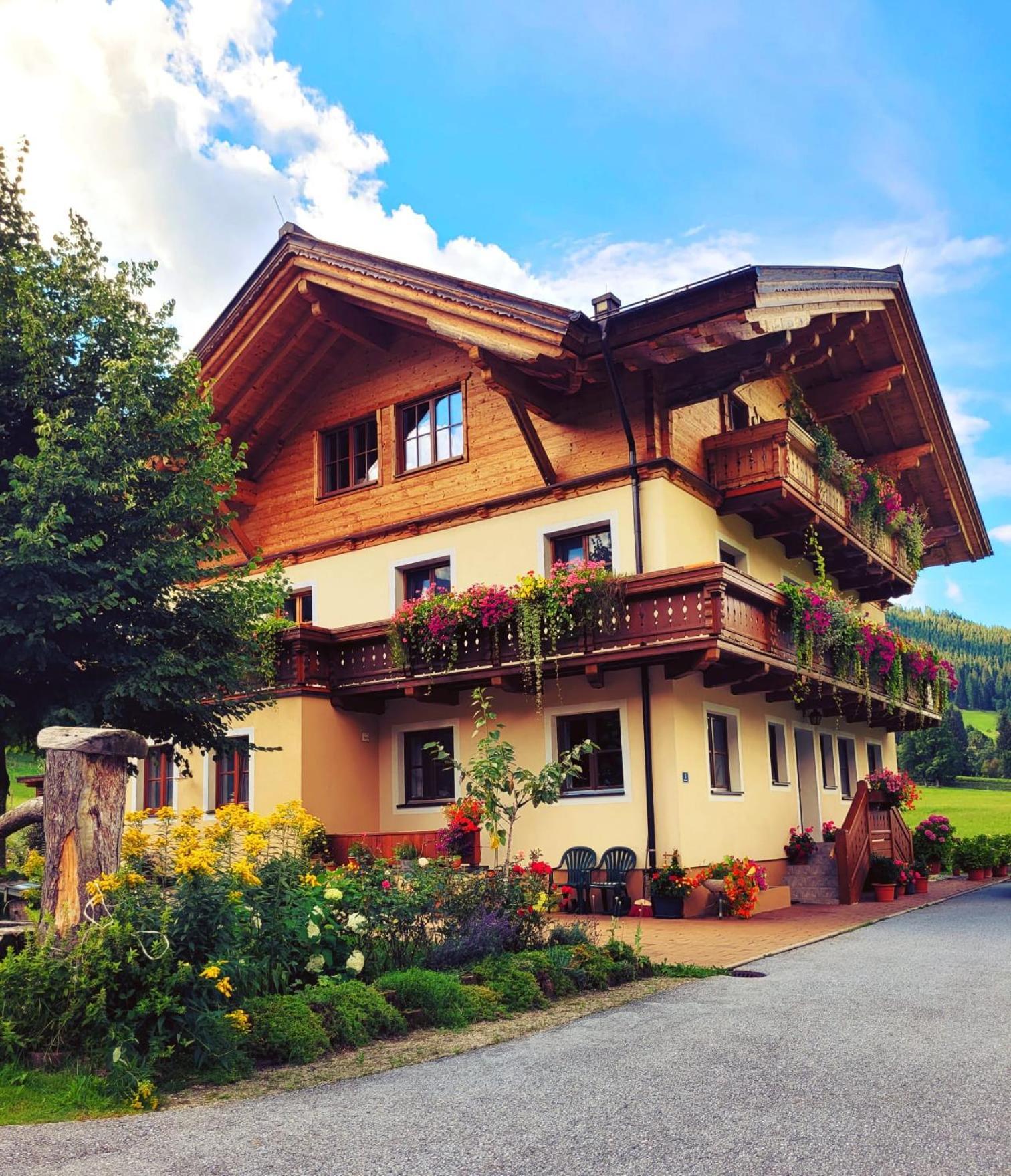 Arche Hof Oebristhof Appartement Kleinarl Buitenkant foto