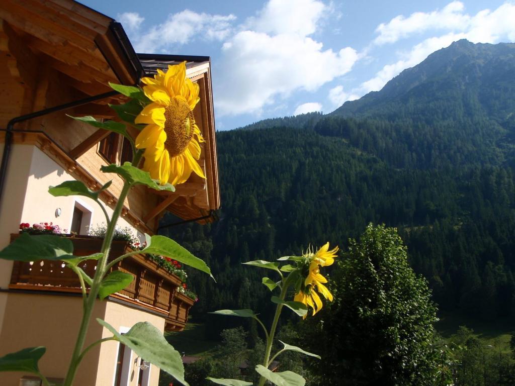 Arche Hof Oebristhof Appartement Kleinarl Buitenkant foto
